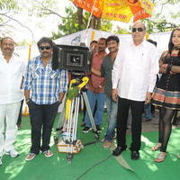 Venky and Trisha New Movie Launch Stilss